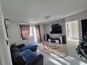 Apartament Rovine